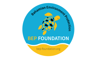 logo bep foundation